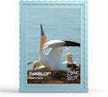 12x16 Picture Frame with Mat for 11x14, Wavy Edge Wooden Real Glass Photo Frame by THKRLOF