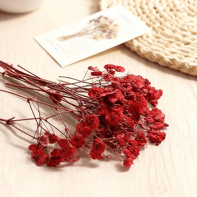 9 Pack Dried Flowers, Natural Pressed Flowers Kit - Image 4