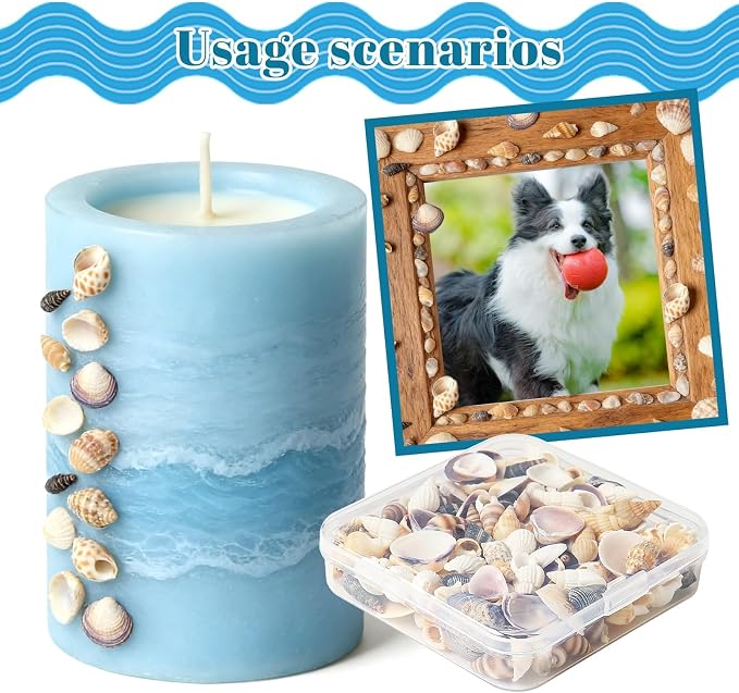 Seashells for Crafts Natural Mixed Seashells, 4 Pack Box, Small Shells for - Image 4