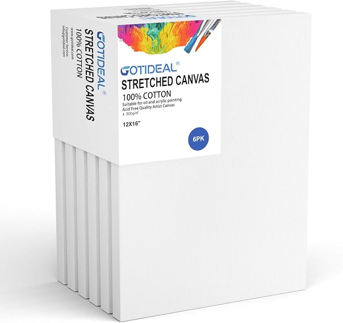 GOTIDEAL Stretched Canvas, 12x16 Inch Set of 6, Primed White by GOTIDEAL
