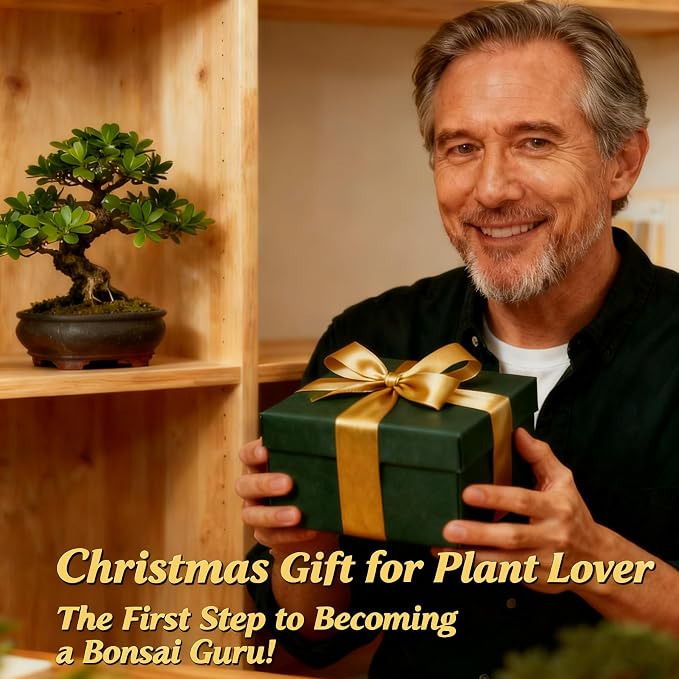 Bonsai Tree Starter Kit for Beginners - Image 2