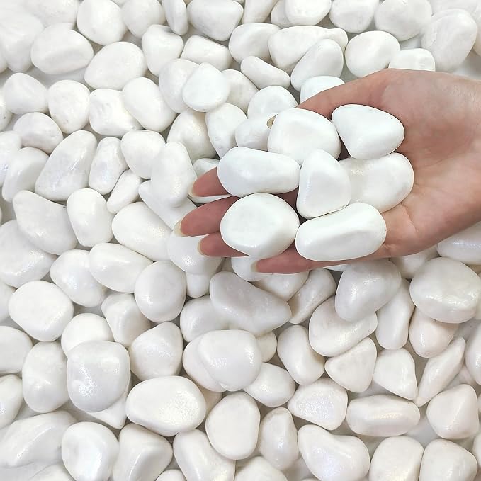 FANTIAN 5 lbs White Pebbles for Indoor Plants, 1-2 Inch Small White River Rocks by FANTIAN-GardeningMakesLifeBetter