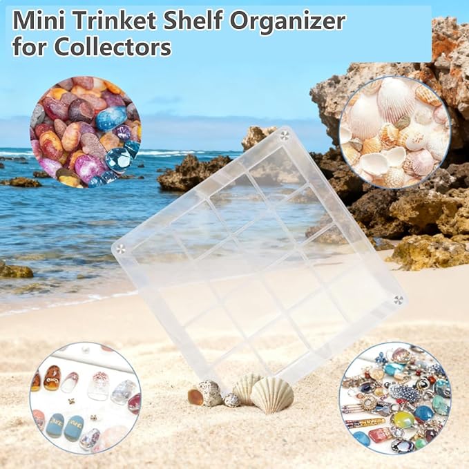 Acrylic Magnetic Seashell Display Box, Beach Shelling Collecting Tools - Image 6