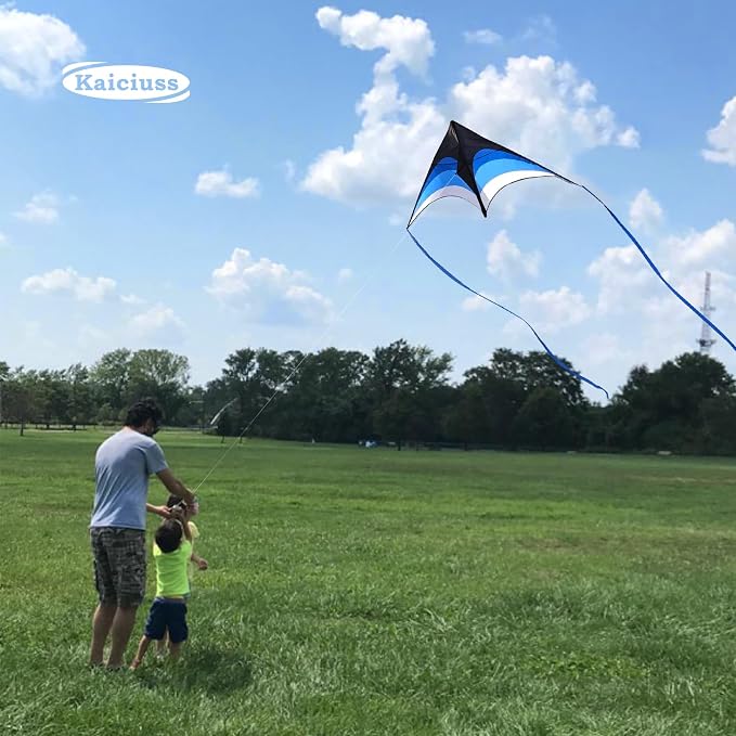 Large Single Line Beach Kite for Adults - Image 2