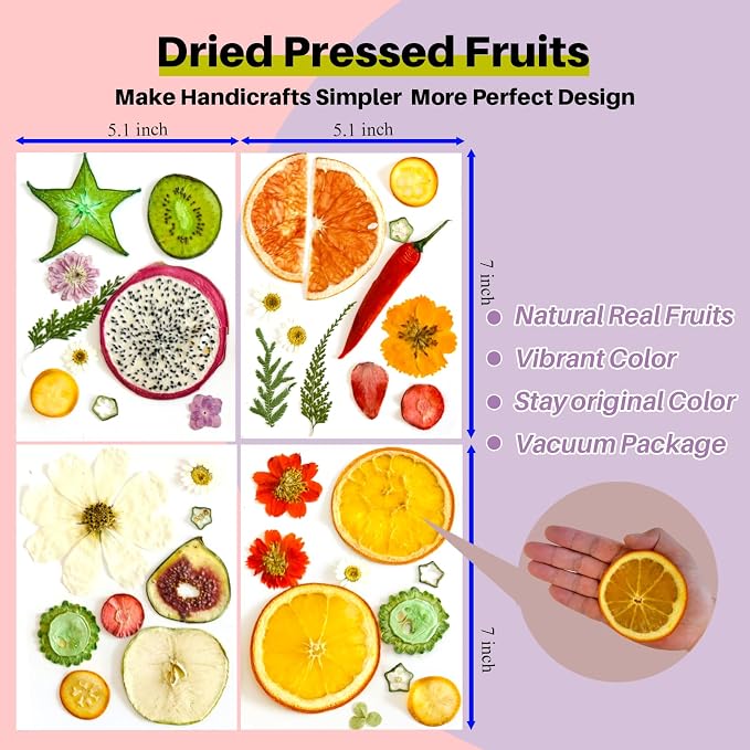 Nature Dried Pressed Fruits Flowers - Image 2