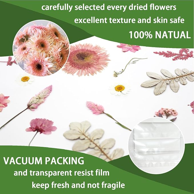34 Types 60PCS Real Dried Pressed Flowers Leaf Plant Herbarium - Image 4
