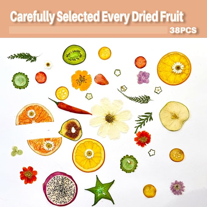 Nature Dried Pressed Fruits Flowers - Image 4