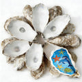 30Pcs 5"-6" Concave Oyster Shells by Unknown