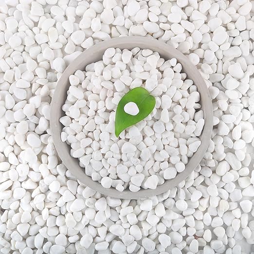 Mulctun 12Lb White Rocks for Plants, 1/4"-3/4" White Pebbles, Decorative Stones by Unknown