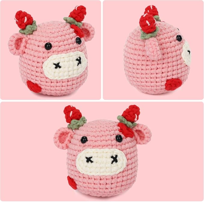 Crochet Kit for Beginners Adults - Image 2