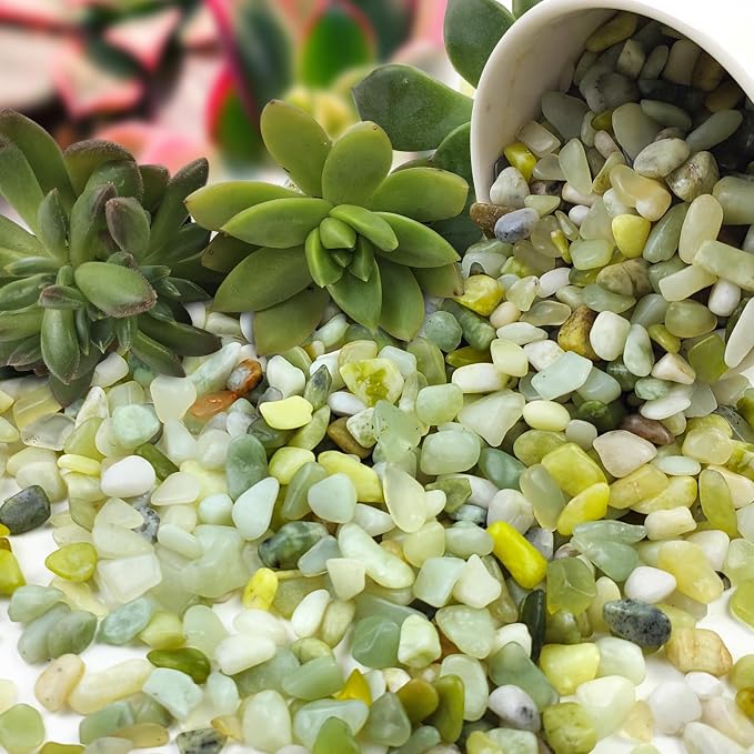 FANTIAN Jade Pebbles for Indoor Plants, 1/4 Inch Polished Green Pea Gravel - Image 7