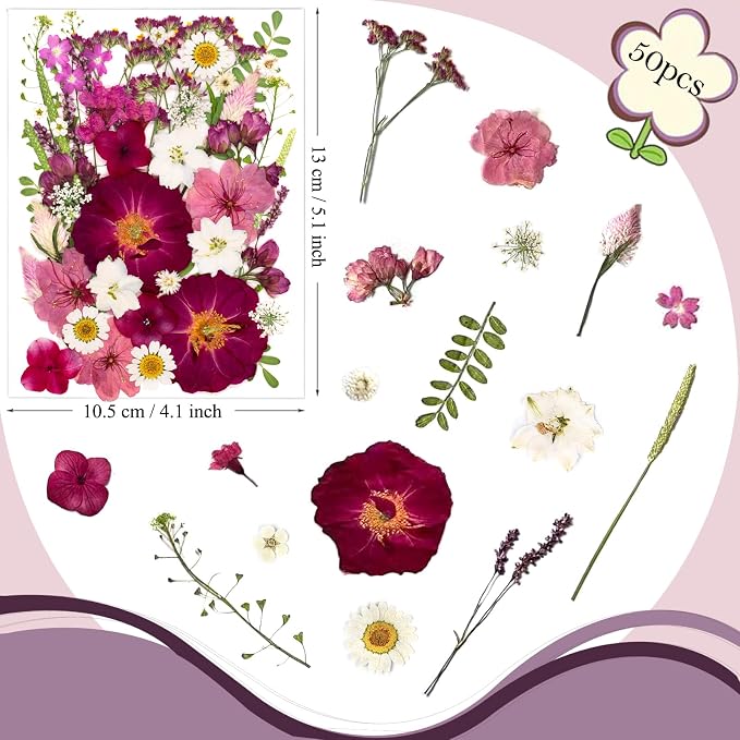 52 Pcs Red Dried Pressed Flowers - Image 6