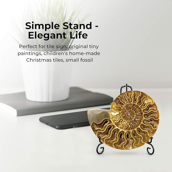 TR-LIFE Plate Stands for Display - Image 5