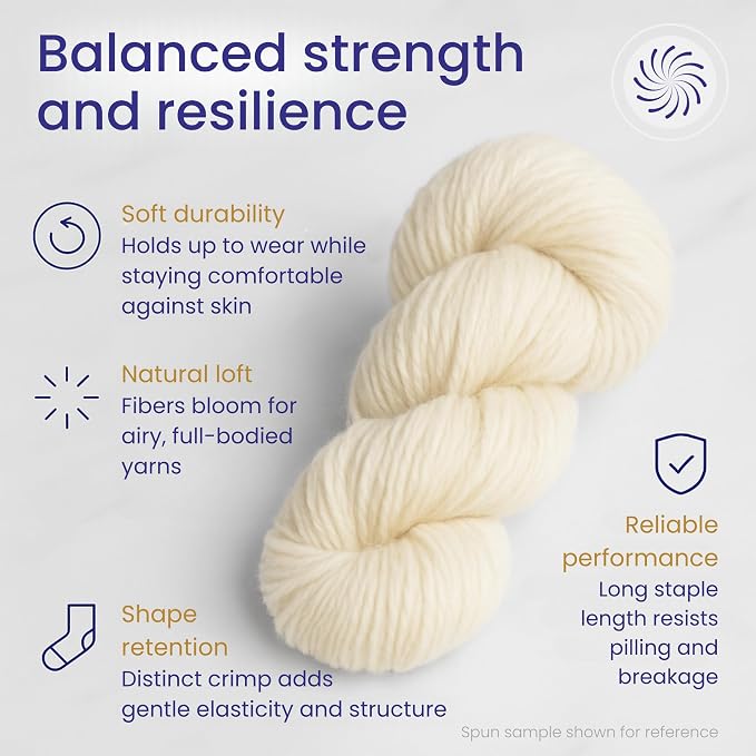 Revolution Fibers Corriedale Wool Roving 1 lb - Image 3