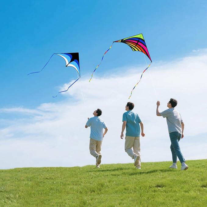 Mint's Colorful Life Delta Kite - Image 6