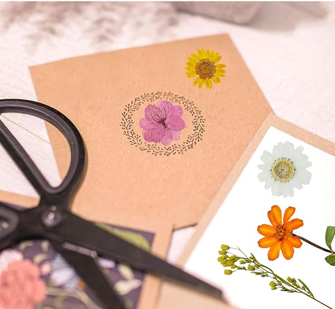Woohome 4 Packs Real Pressed Flowers - Image 4