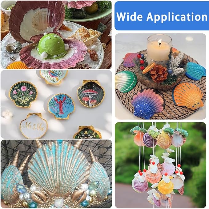 YUJUN 18PCS Large Natural Scallop Shells - Image 6