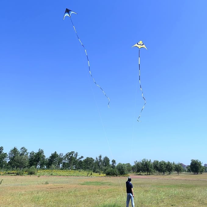 Large Single Line Beach Kite for Adults - Image 6