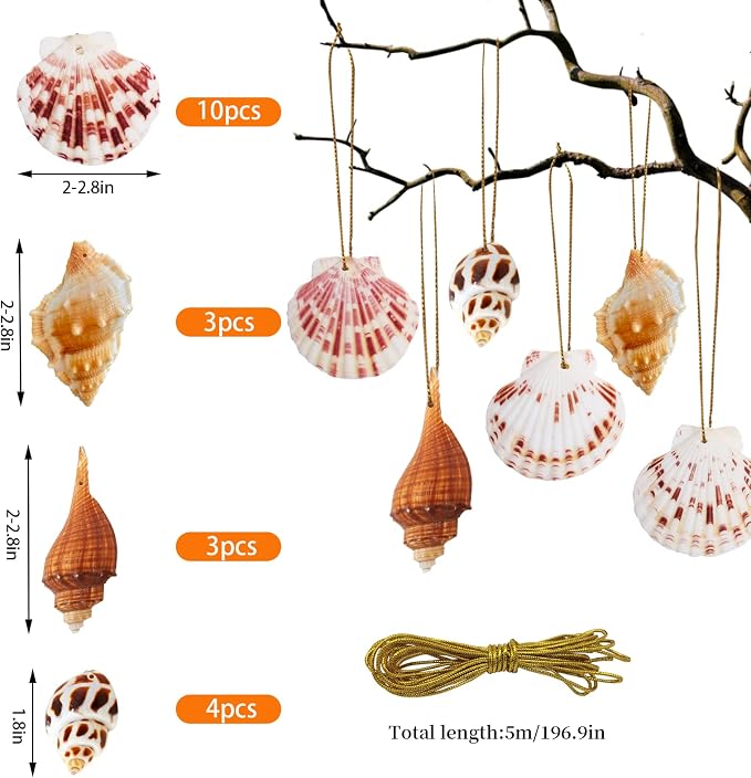 20 PCS Seashells Hanging Ornaments Natural Shells Decorations Beach Ocean - Image 3