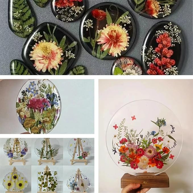 Dried Pressed Flowers - Image 4