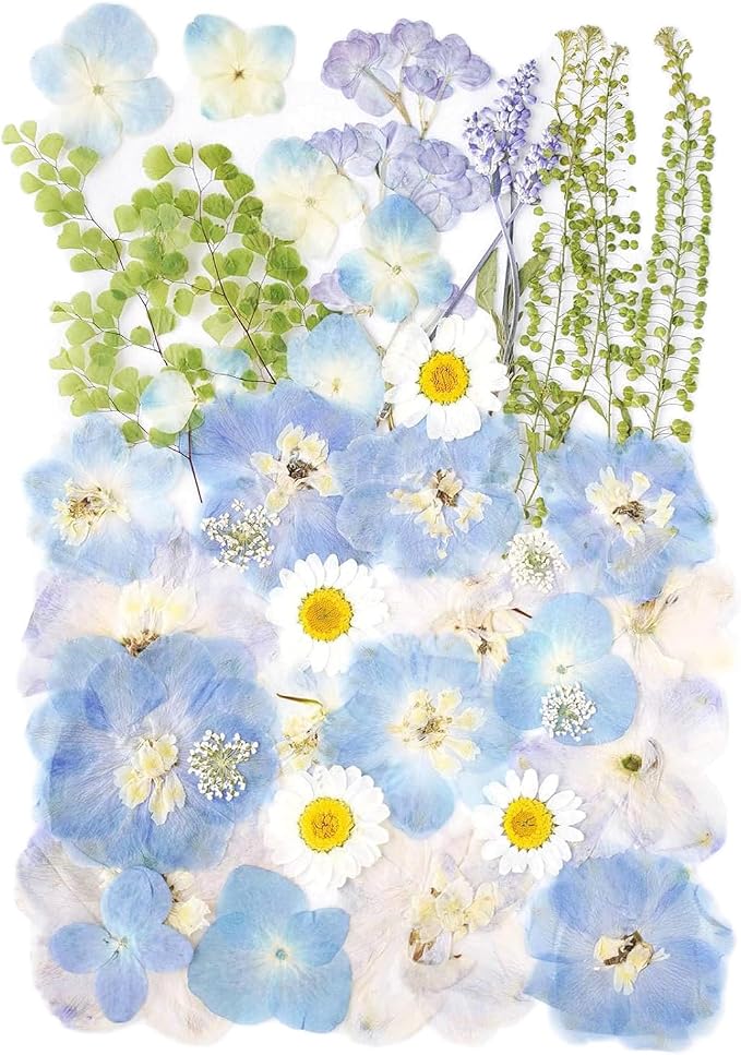 Real Dried Pressed Flowers Leaf Plant Herbarium by AHTONG