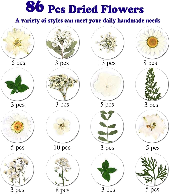 86Pcs White Pressed Dried Flowers Real Natural Leave - Image 4