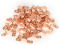 150-PACK GUOFIS 1Inch C x 1Inch C Copper Pipe Straps Clamp with Two Holes, Two-Hole Clamps Mount for Residential, Commercial(COPPER059-150Pack)