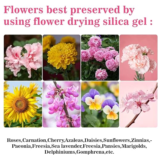 Sukh Silica Gel Flower Drying - Image 6