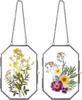 Qunclay 2 Pcs Double Glass Frame by Qunclay
