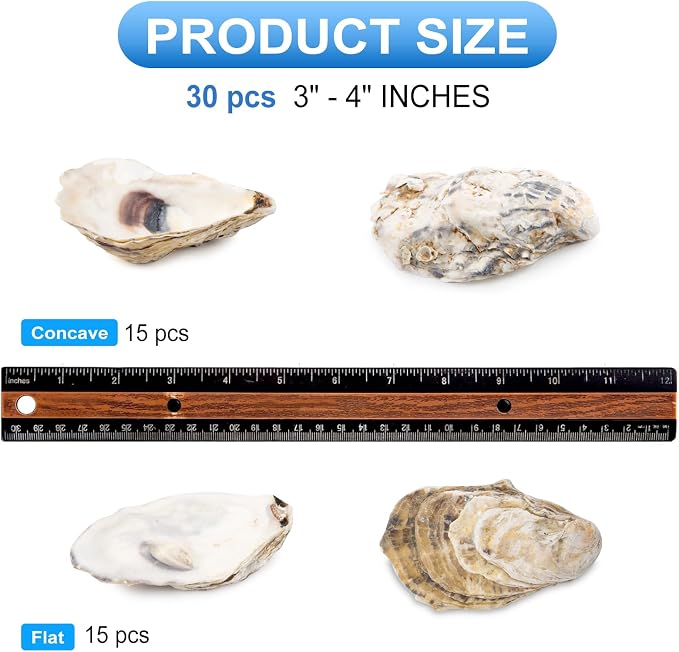 QEQEKAKA 30PCS Oyster Shells Flat & Concave 3"-4" Medium Oyster Shells - Image 2