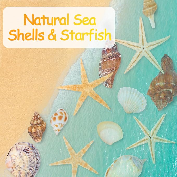 80+ Pcs Natural Seashells, Mixed Starfish Sea Shells - Image 4
