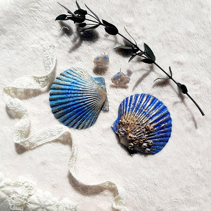 SEAJIAYI 10 PCS Large Scallop Shells 4-5 inch Natural White Scallop Shells from - Image 7