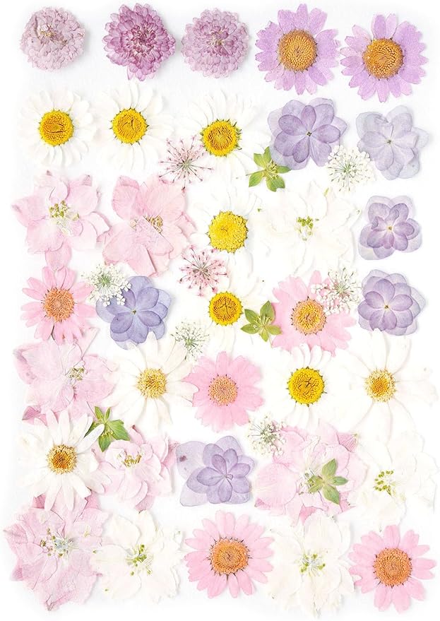 Real Dried Pressed Flowers Leaf Plant Herbarium by AHTONG