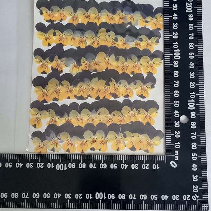 YUNZHI Natural Pansy Dried Pressed Flowers - Image 3
