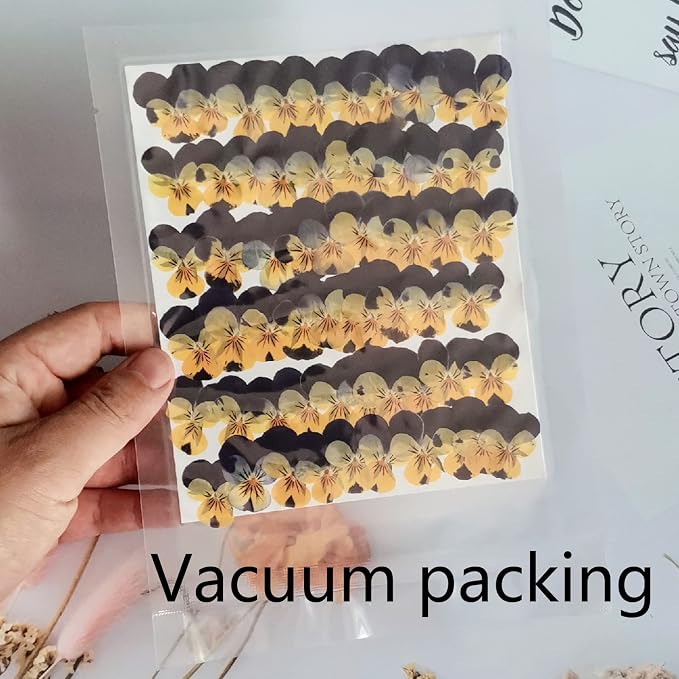 YUNZHI Natural Pansy Dried Pressed Flowers - Image 4