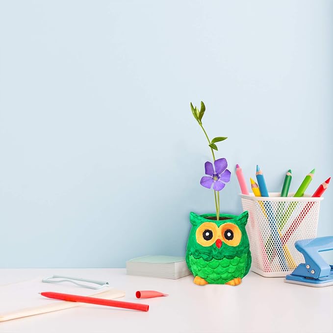 Winlyn 6 Sets DIY Ceramic Owl Succulent Pots Paint Craft Kit, Unpainted Ceramic - Image 7