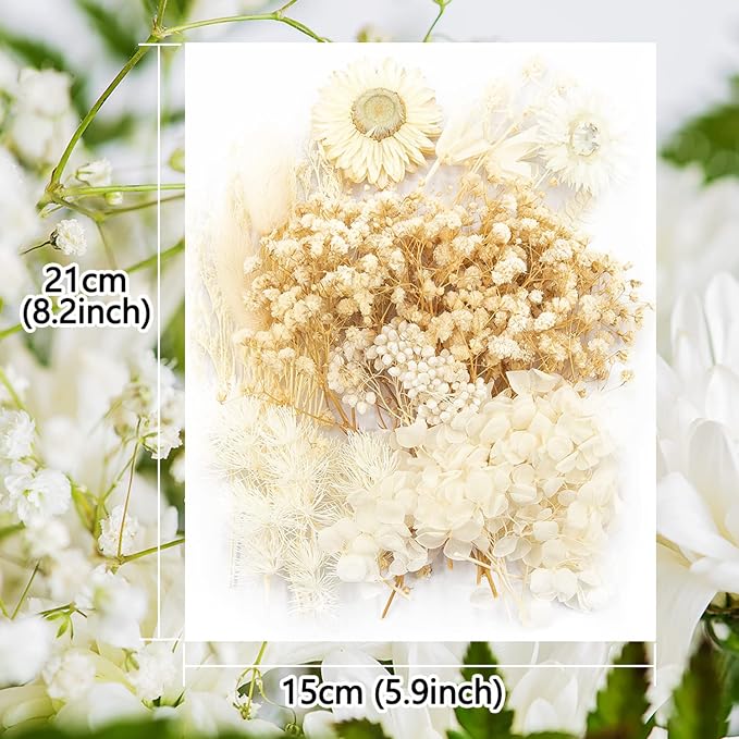 Vignee Real Dried Pressed Leaf Flowers-Multiple Colorful Pressed Flowers Daisies - Image 2