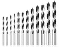 Metric Brad Point Wood Drill Bit Set, 12Pcs Drill Bit Set with Double Flutes Design for Carpenter Woodworking and All Types of Wood (3mm - 12mm)