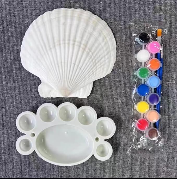 SEAJIAYI 10 PCS Large Scallop Shells 4-5 inch Natural White Scallop Shells from - Image 2