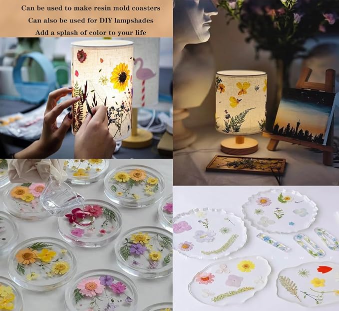 Dried Flowers, Resiners 80Pcs（Trending Colors） Pressed Flowers - Image 6