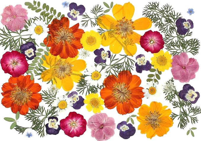 48 Pcs Mix Natural Dried Pressed Flowers by AHTONG