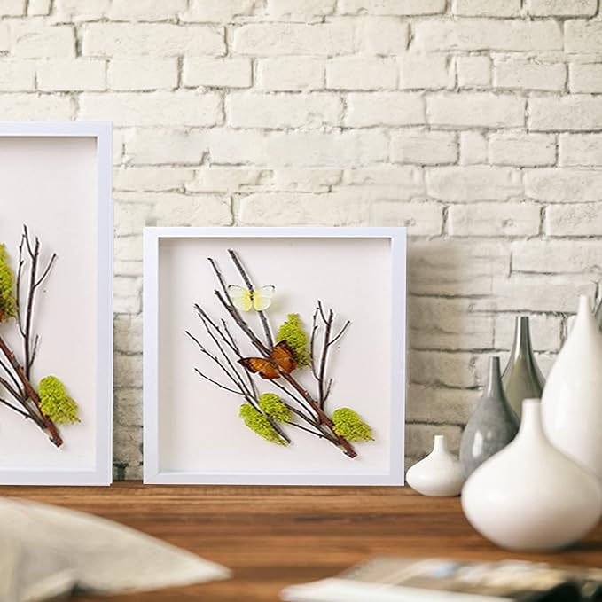 8x8 Shadow Box Frame Display Case - Image 4