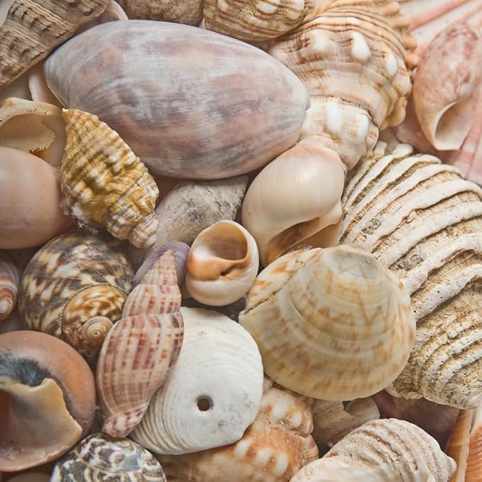 BEACON Sea Shell Glue for Creating and Decorating - Image 6