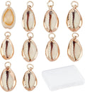 SUNNYCLUE 1 Box 10Pcs Natural Cowrie Shell Charms Oval Spiral Shell Seashell by SUNNYCLUE