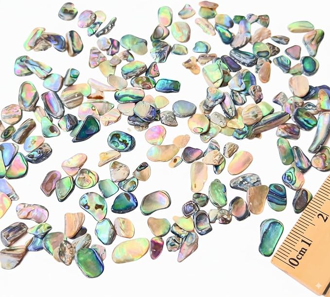Abalone Shell Slices, Polished Abalone Slices - Image 3
