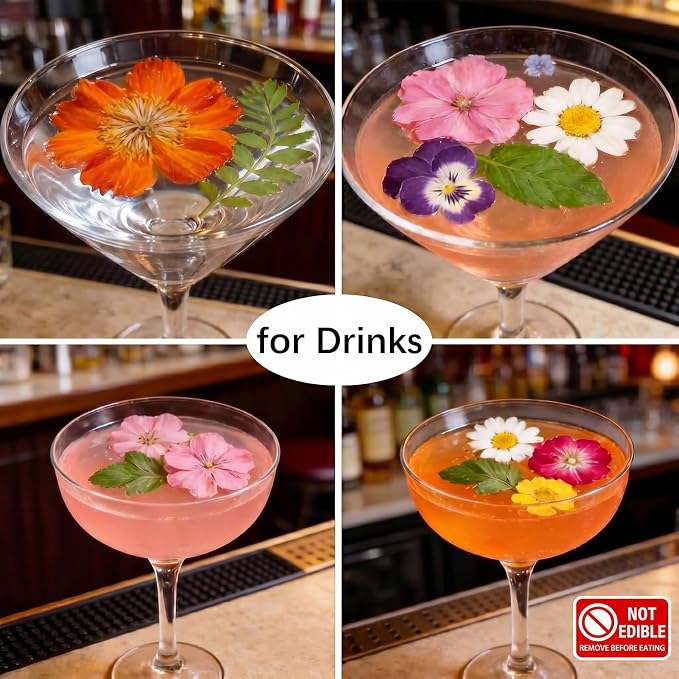 48 Pcs Mix Natural Dried Pressed Flowers - Image 4