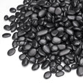 Pulovin 2.5 lbs Black Pebbles for Indoor Plants, 3/8" Plant Rocks for Pots by GardenSteward