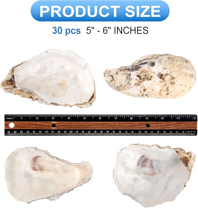 QEQEKAKA 30PCS Oyster Shells Flat & Concave 5"-6" Extra Large Oyster Shells - Image 3