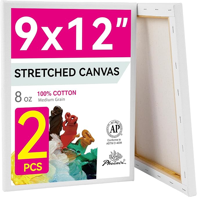 PHOENIX 9x12 Inch Pack of 2 Canvas by PHOENIX