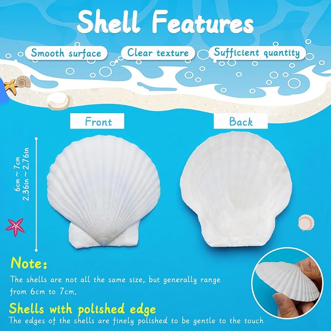 MORFEN 20 PCS Scallop Shells Seashells - Image 3